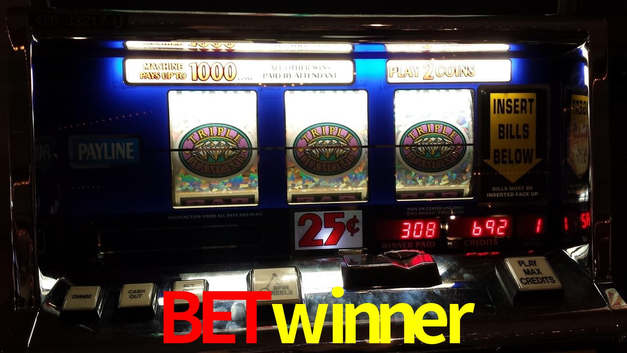 Sports Statistics betwinner